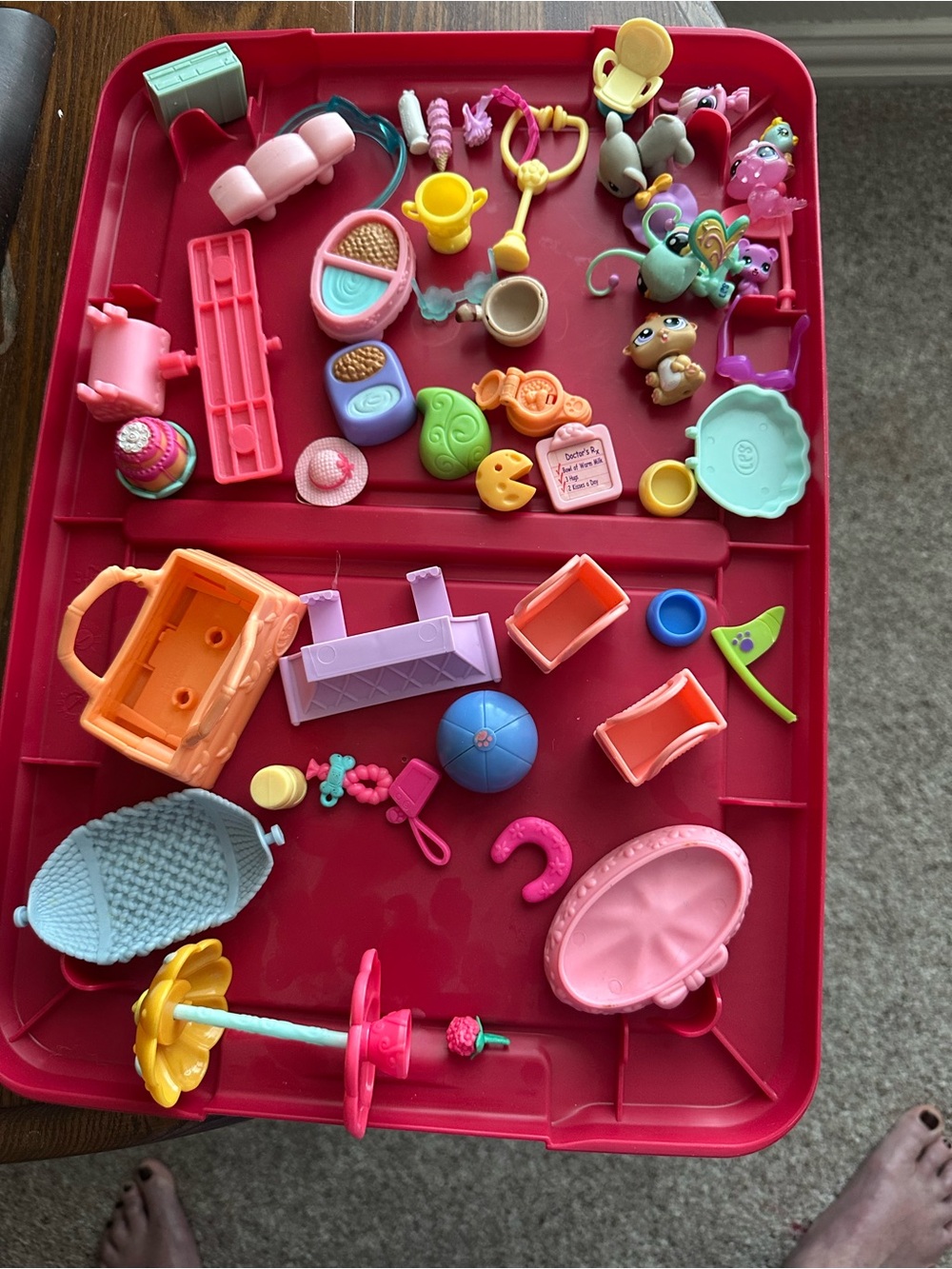Littlest Pet Shop Accessories - Picture 3 of 3
